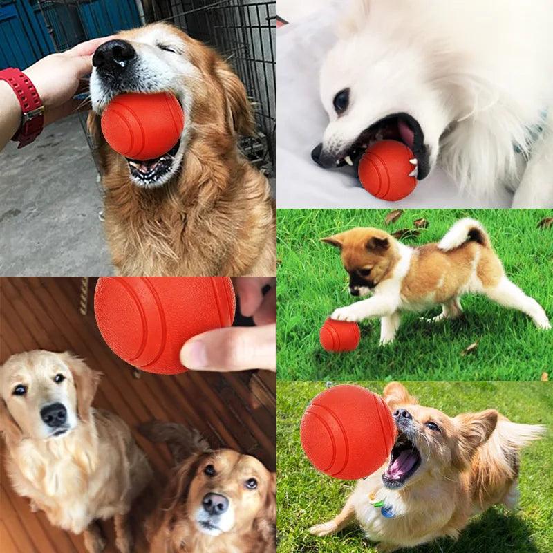 Indestructible Rubber Ball Bite-resistant Dog Toy - Bark & Bones