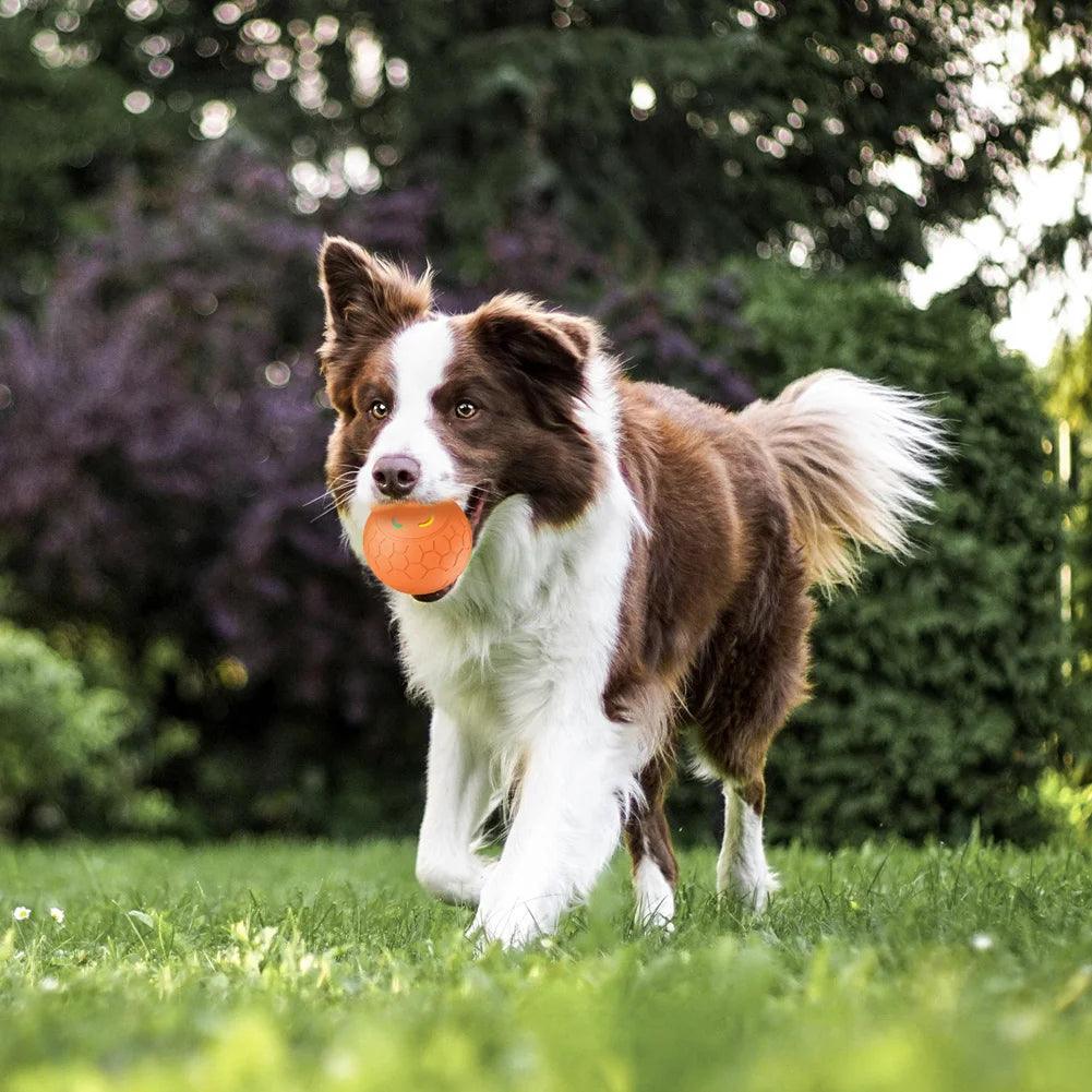 Rechargeable Automatic Rolling Ball With 2 Modes Motion Activated | Dog and Cat Toy - Bark & Bones