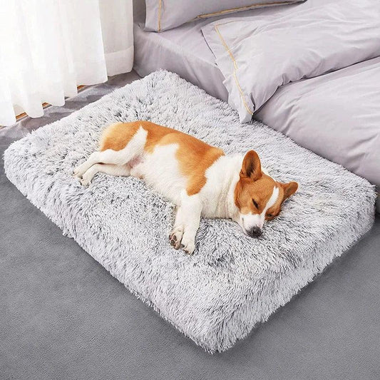 Small to Extra Large Orthopedic Dog Bed | Orthopedic Support For Dogs | By Bark & Bone - Bark & Bones