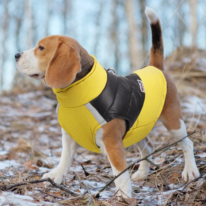 All-Weather Waterproof Dog Coat | Versatile and Cozy for Every Breed and Size