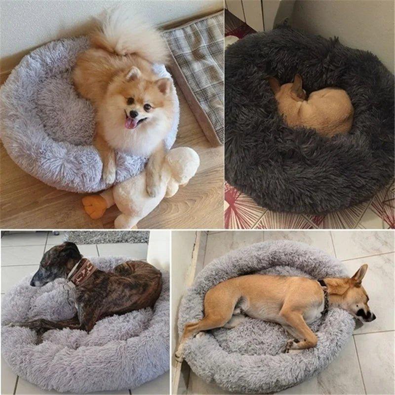 Donut Dog Bed for Anxiety Relief & Comfort | Small - Extra large breeds - My Store