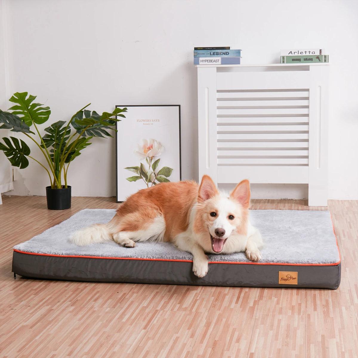 Large Orthopedic Memory Foam Dog Bed | Joint Support | By Lauren Jones - My Store