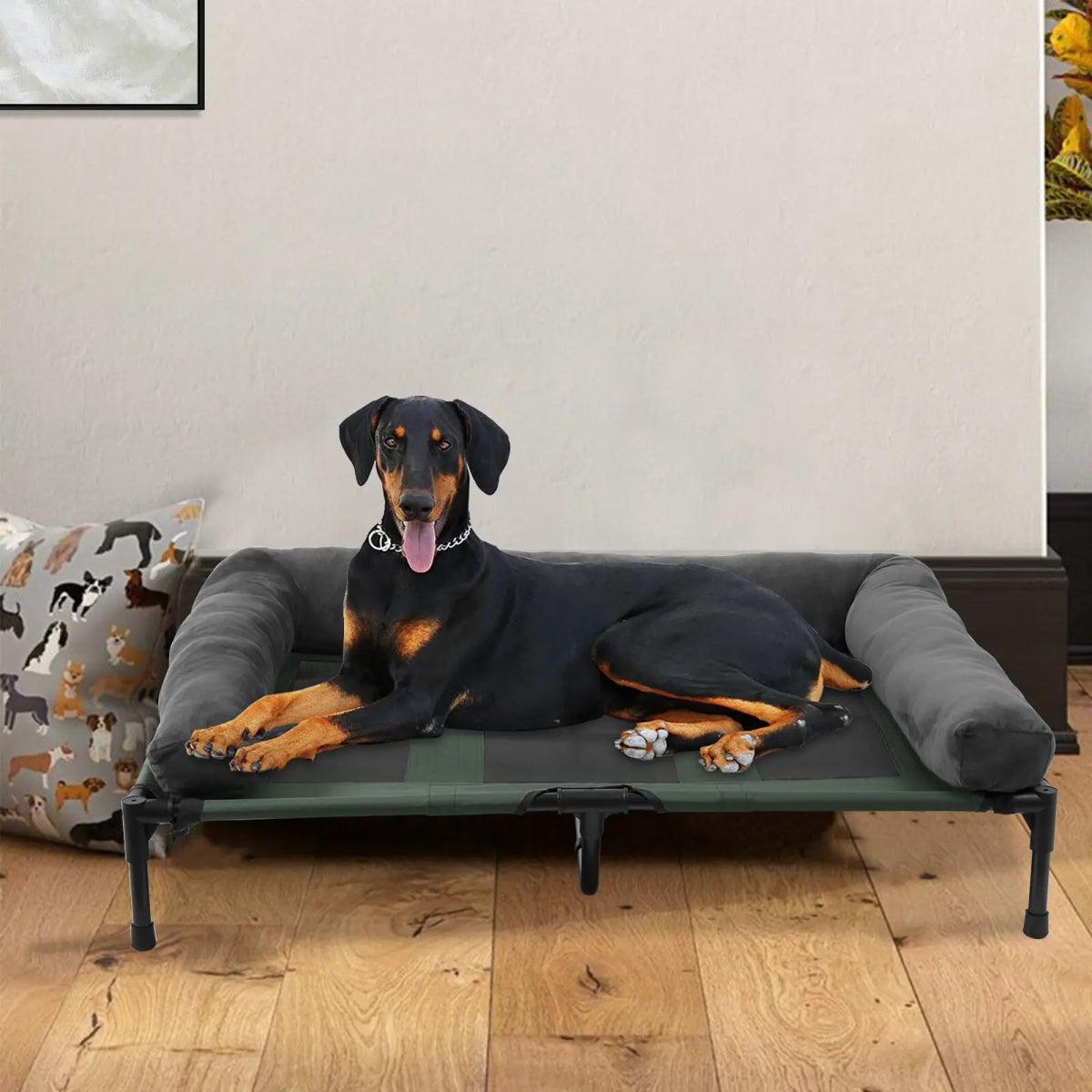 Orthopedic Raised Dog Bed for Ultimate Comfort & Support - My Store